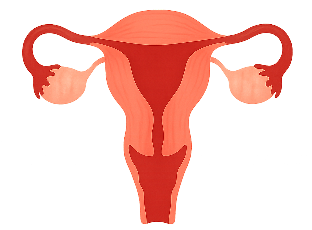 Amenorrea Ipotalamica: Il Ruolo della Nutrizione nella Salute Ormonale Femminile